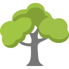 Scottsdale Trees Removal