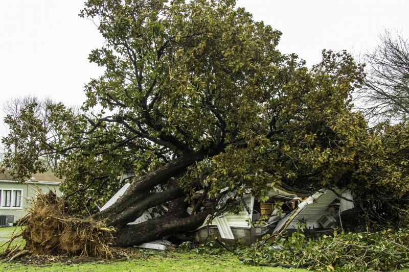 Storm Damage Scene