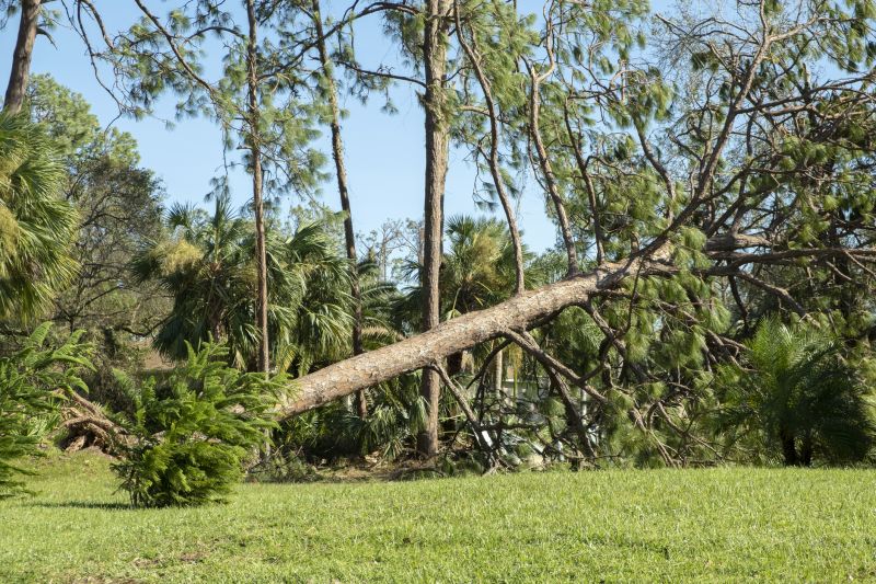 Property Restoration