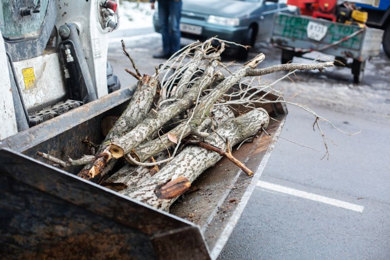 Tree Removal Equipment in Use