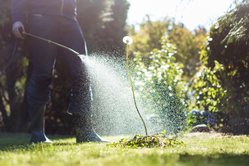 Water Extraction Service