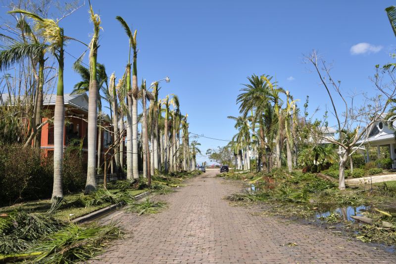 Post-Removal Landscape