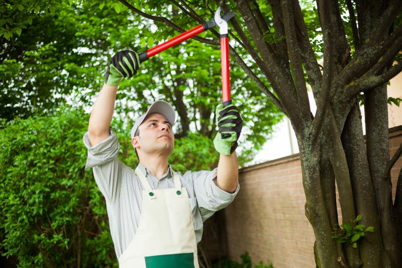 Healthy Tree Cutting