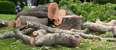 Land Clearing Services