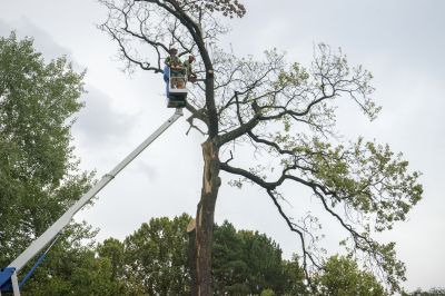 Storm Damage Response Teams