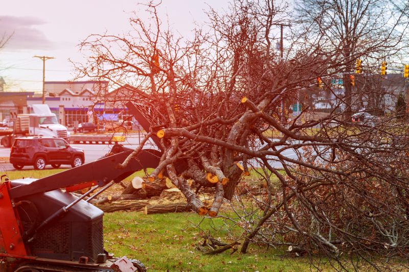 Land Clearing Equipment